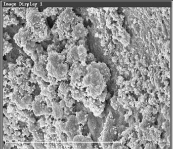 Fast vollständig Verkeimung